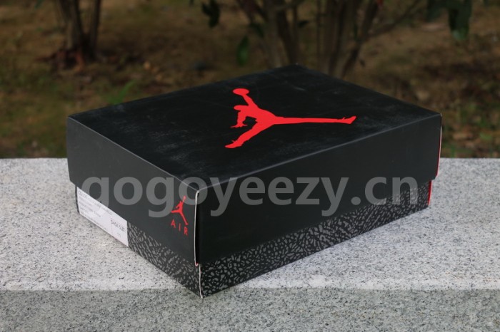 Authentic Air Jordan 3 Michigan