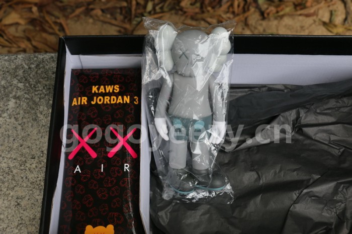 Authentic Air Jordan 3 Kaws