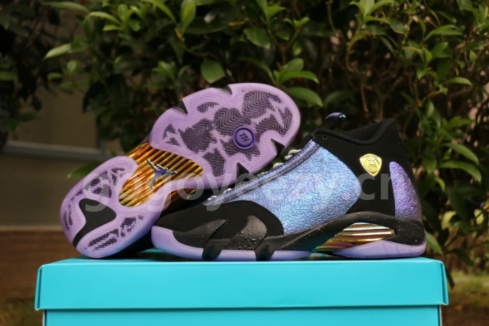 Authentic Air Jordan 14“Doernbecher”