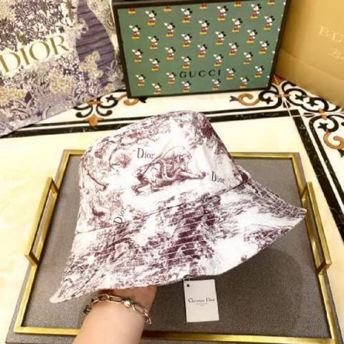 Dior Hats AAA-201
