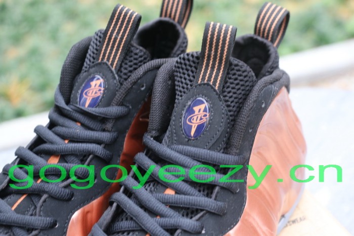 Nike Air Foamposite One “Dirty Copper” 2009