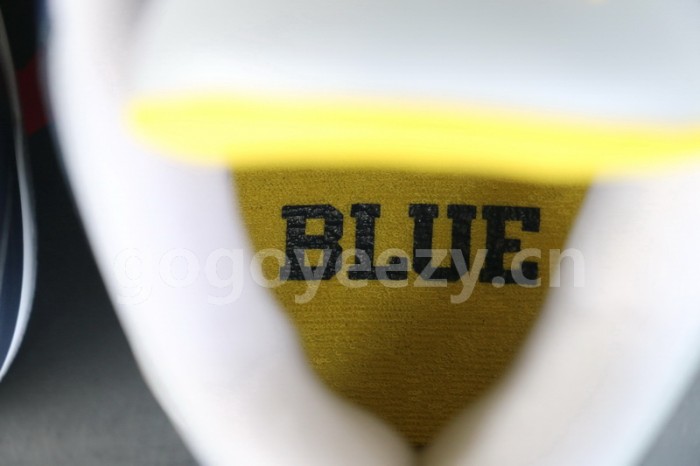 Authentic Air Jordan 3 Michigan