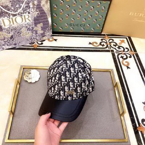 Dior Hats AAA-304