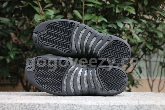 Authentic Air Jordan 12 WNTR