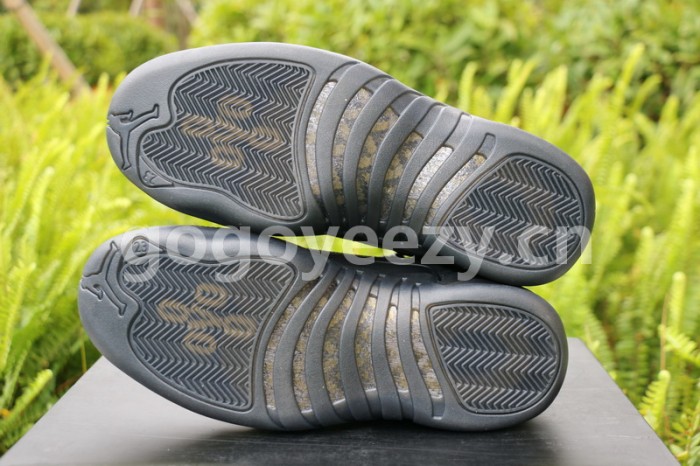 Authentic Air Jordan 12 OVO Black