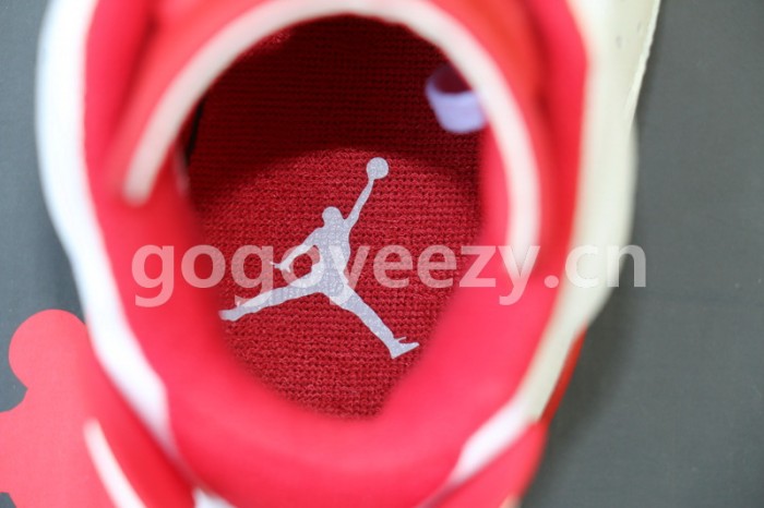 Authentic Air Jordan 6 Alternate
