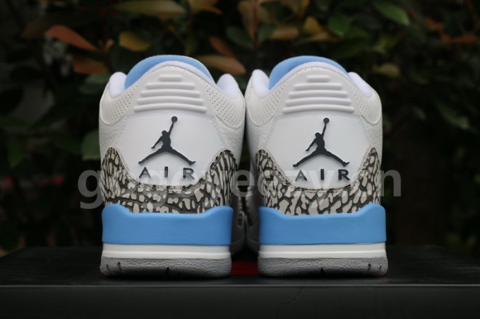 Authentic Air Jordan 3 UNC PE