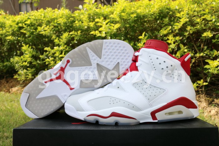 Authentic Air Jordan 6 Alternate