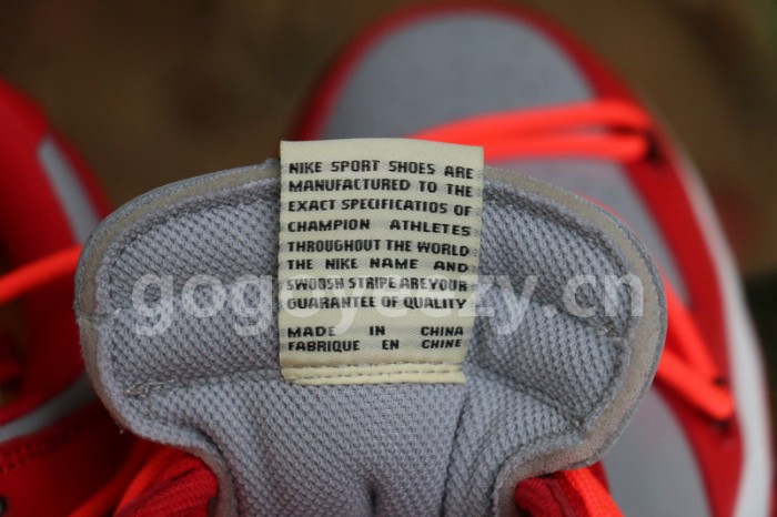 Authentic OFF-WHITE x Nike Dunk Low Red Grey