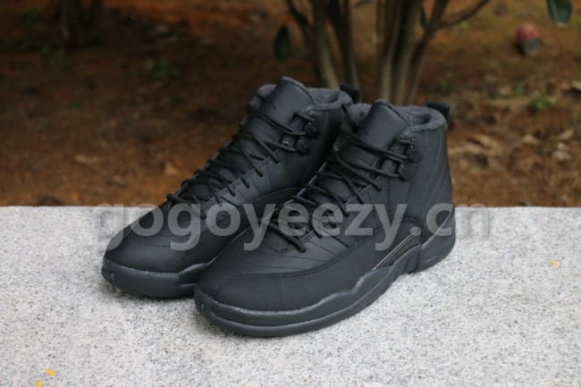 Authentic Air Jordan 12 WNTR