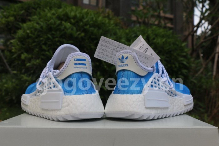 Authentic Pharrell x  AD NMD Peace