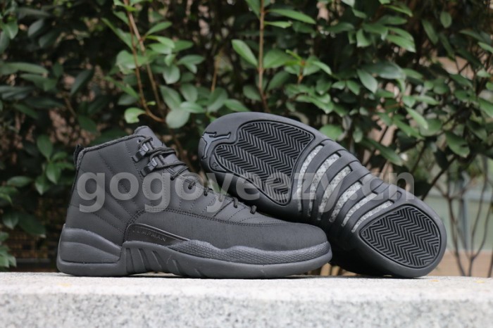 Authentic Air Jordan 12 WNTR