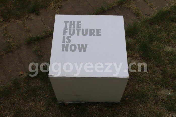 Authentic Nike Air Mag Power Lacing 2016