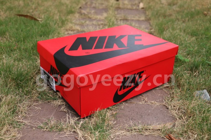 Authentic Air Jordan 1 “Fearless”
