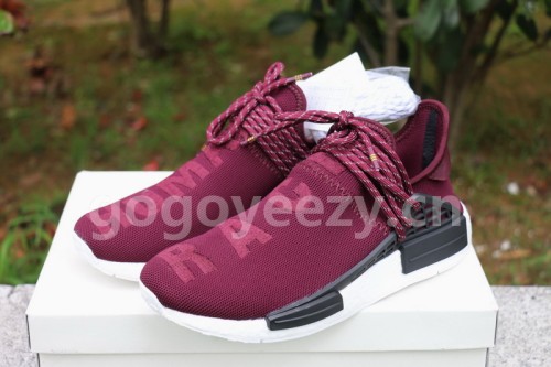 Authentic AD Human Race NMD x Pharrell Williams Purple