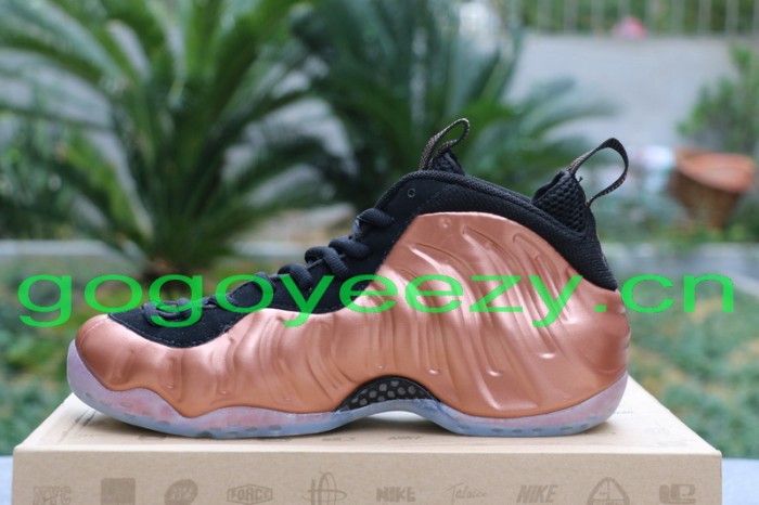 Nike Air Foamposite One “Dirty Copper” 2009