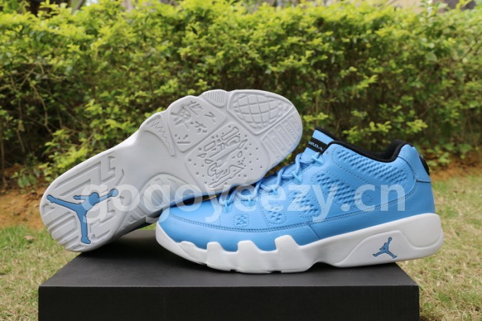 Authentic Air Jordan 9 Low Pantone