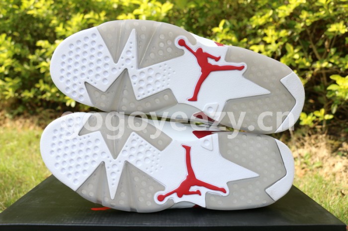 Authentic Air Jordan 6 Alternate