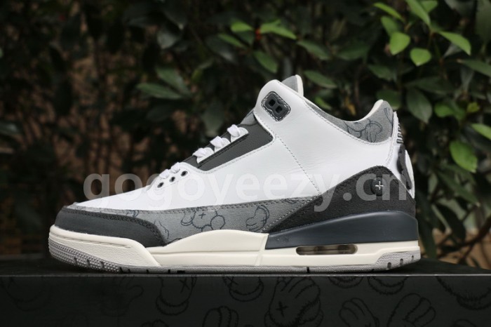 Authentic Air Jordan 3 Kaws