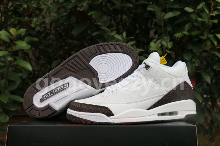 Authentic Air Jordan 3 “Mocha”