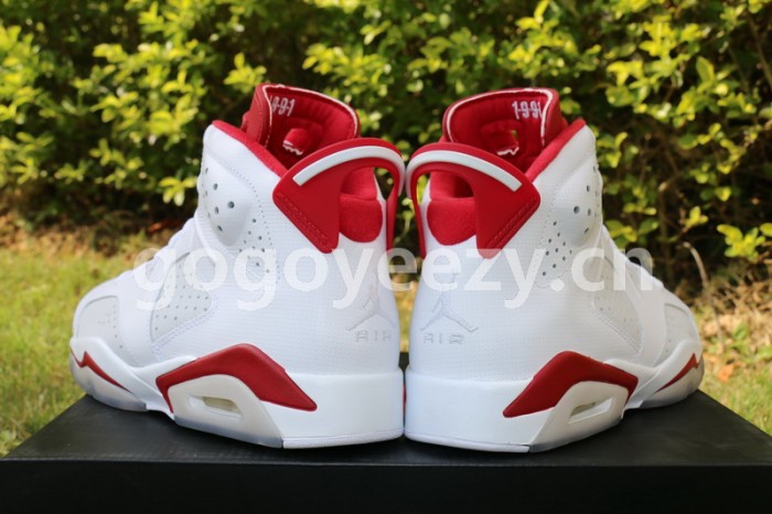 Authentic Air Jordan 6 Alternate