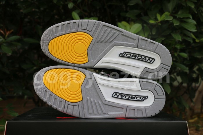 Authentic Air Jordan 3 Michigan