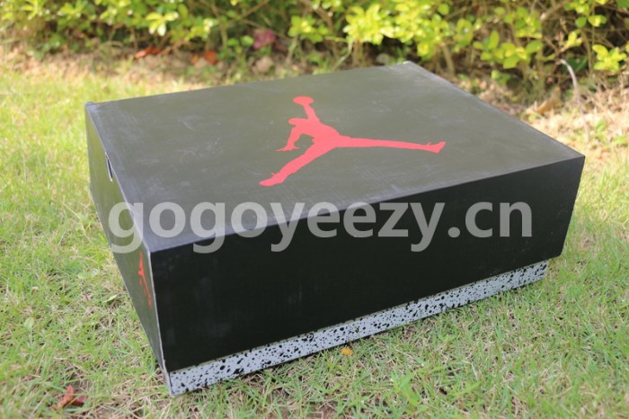 Authentic Air Jordan 6 Alternate