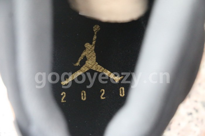 Authentic Air Jordan 6 DMP GS