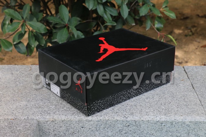 Authentic Air Jordan 3“Chlorophyll”
