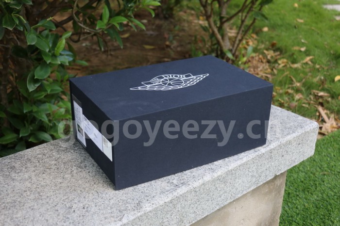 Authentic Dior x Ai Jordan 1 Low Top (with dior boxes)
