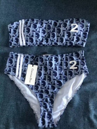 Dior Bikini-113