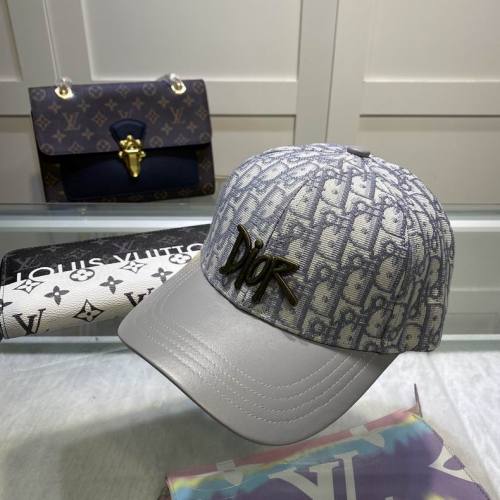 Dior Hats AAA-564