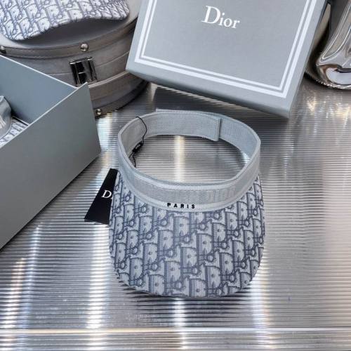 Dior Hats AAA-743