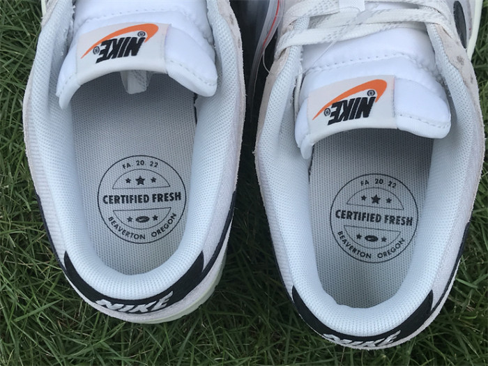 Authentic Nike Dunk Low Retro Certifled