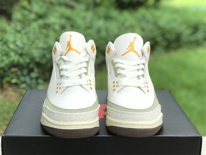 Super Max Perfect Jordan 3 shoes-021