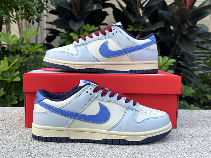 Authentic Nike Dunk Low FV8113-141