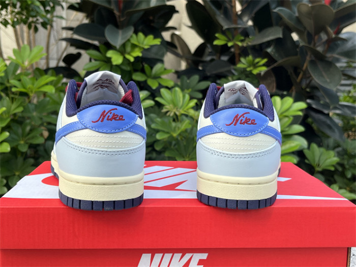 Authentic Nike Dunk Low FV8113-141