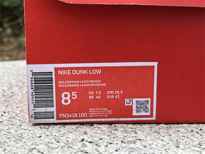 Authentic Nike Dunk Low Wear and Tear
