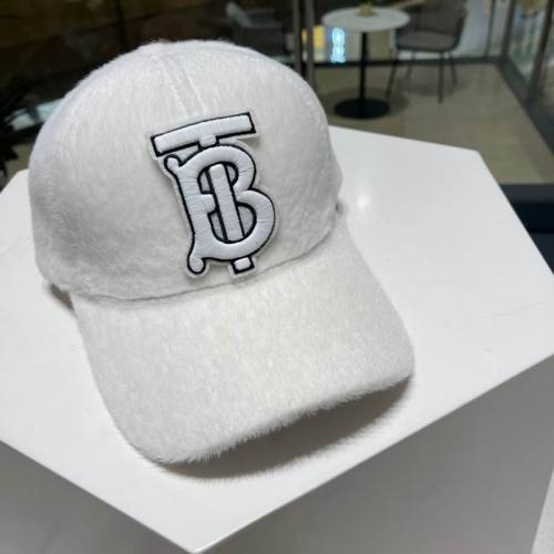 Burrerry Hats AAA-539
