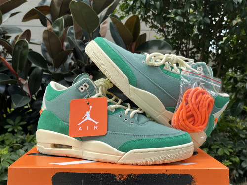 Authentic Nina Chanel Abney x Air Jordan 3