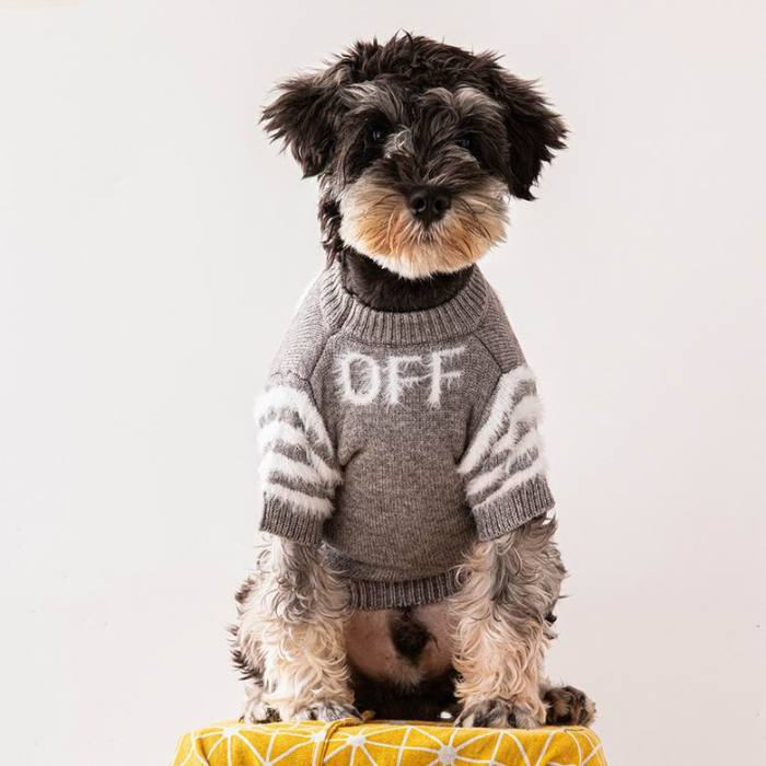 Pet sweater-077
