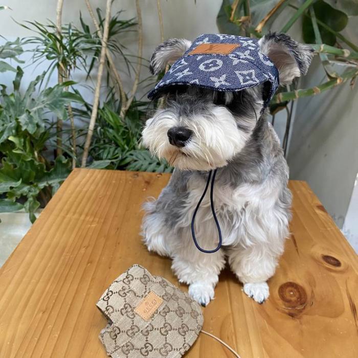 LV Pet Cap-001