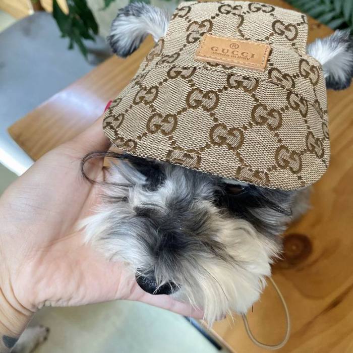 G Pet Cap-001