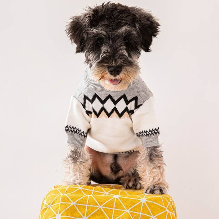 Pet sweater-079