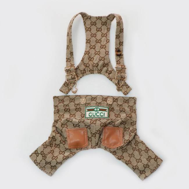 G Pet Pants-003