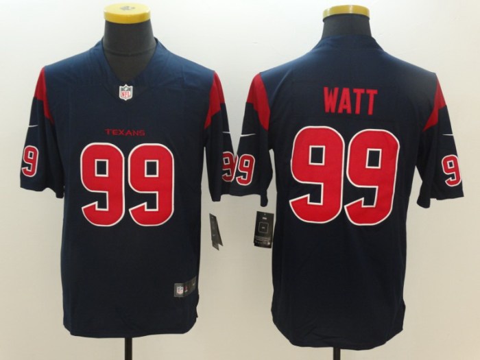NFL Houston Texans-078