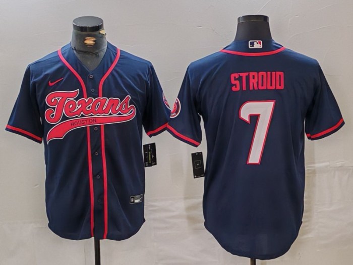 NFL Houston Texans-313