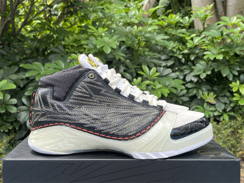 Authentic Titan x Air Jordan 23 Retro SP 10th Anniversary