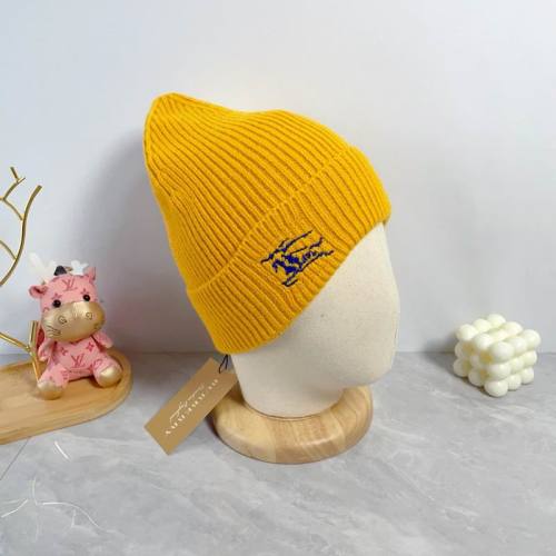 Burrerry Hats AAA-894