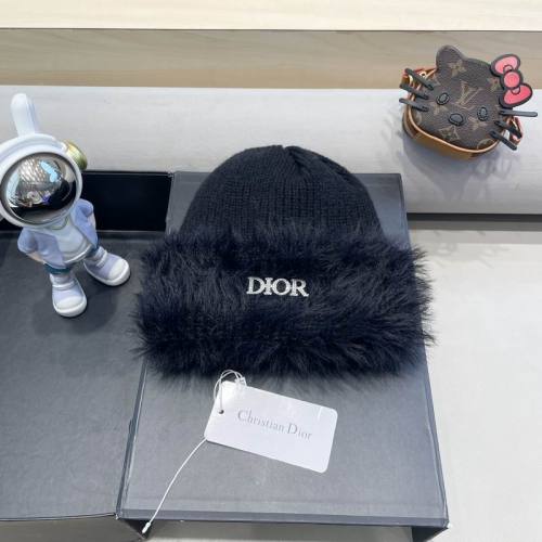 Dior Hats AAA-1393